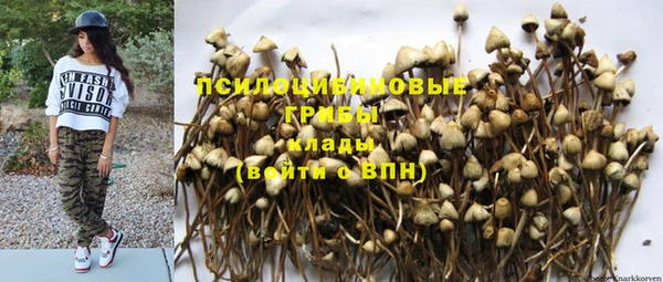 шишки Аркадак