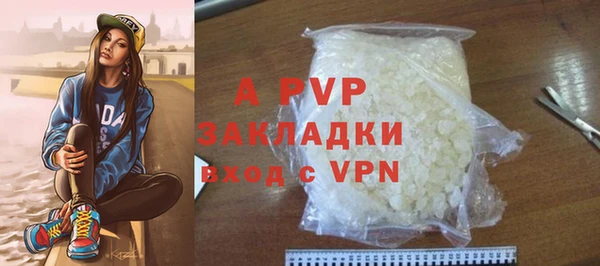 шишки Аркадак