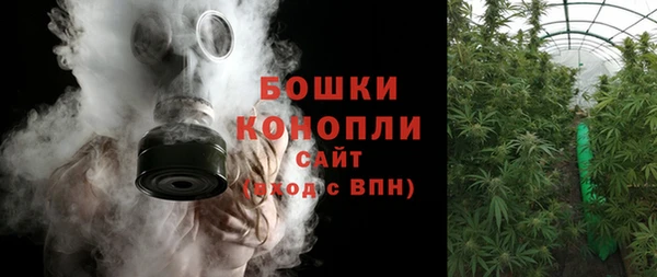 шишки Аркадак
